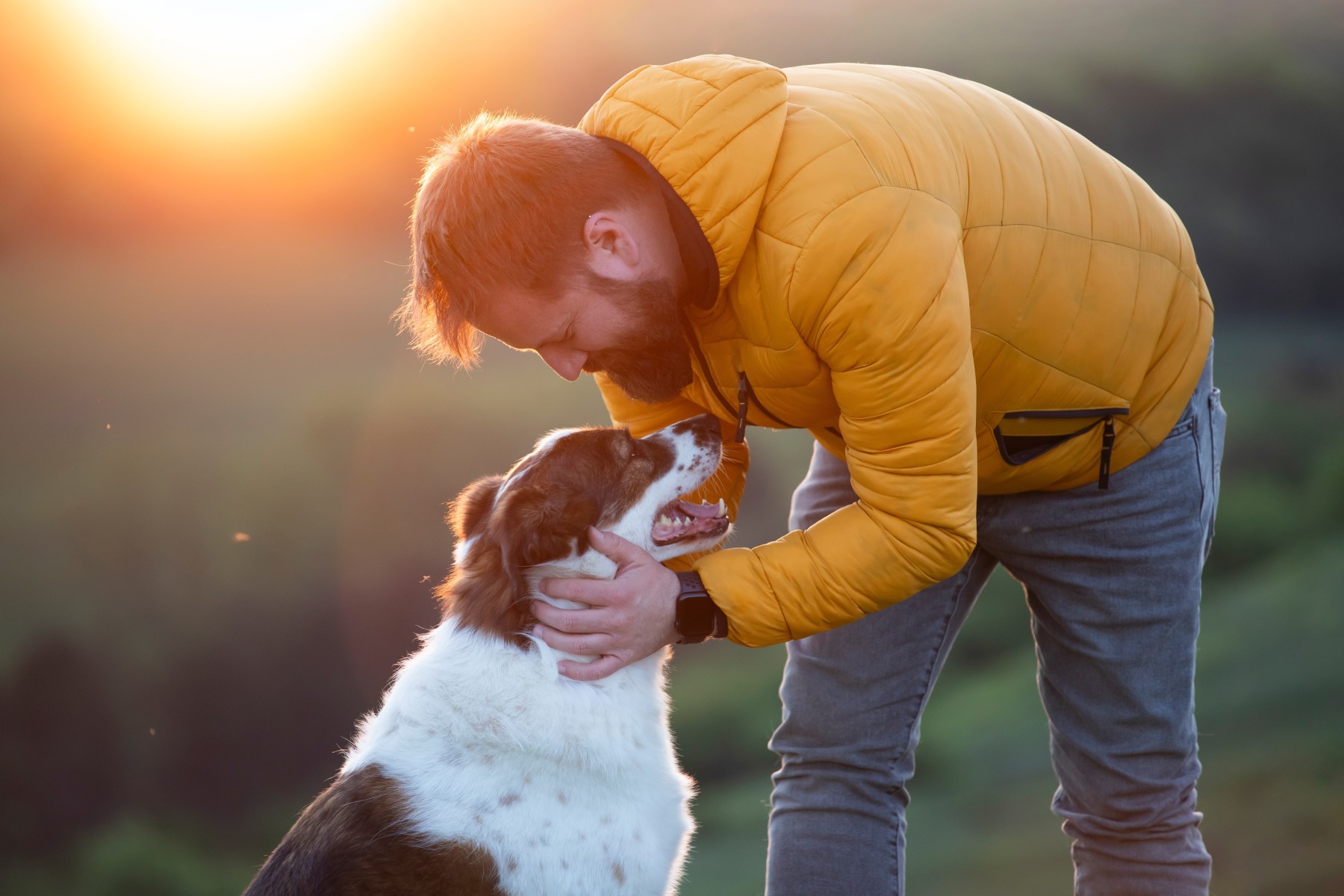 dog and man outdoors at sunset